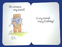 Birthday – Someone Special (4355)